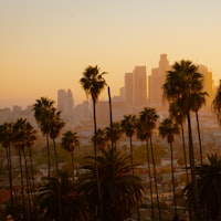 Los Angeles